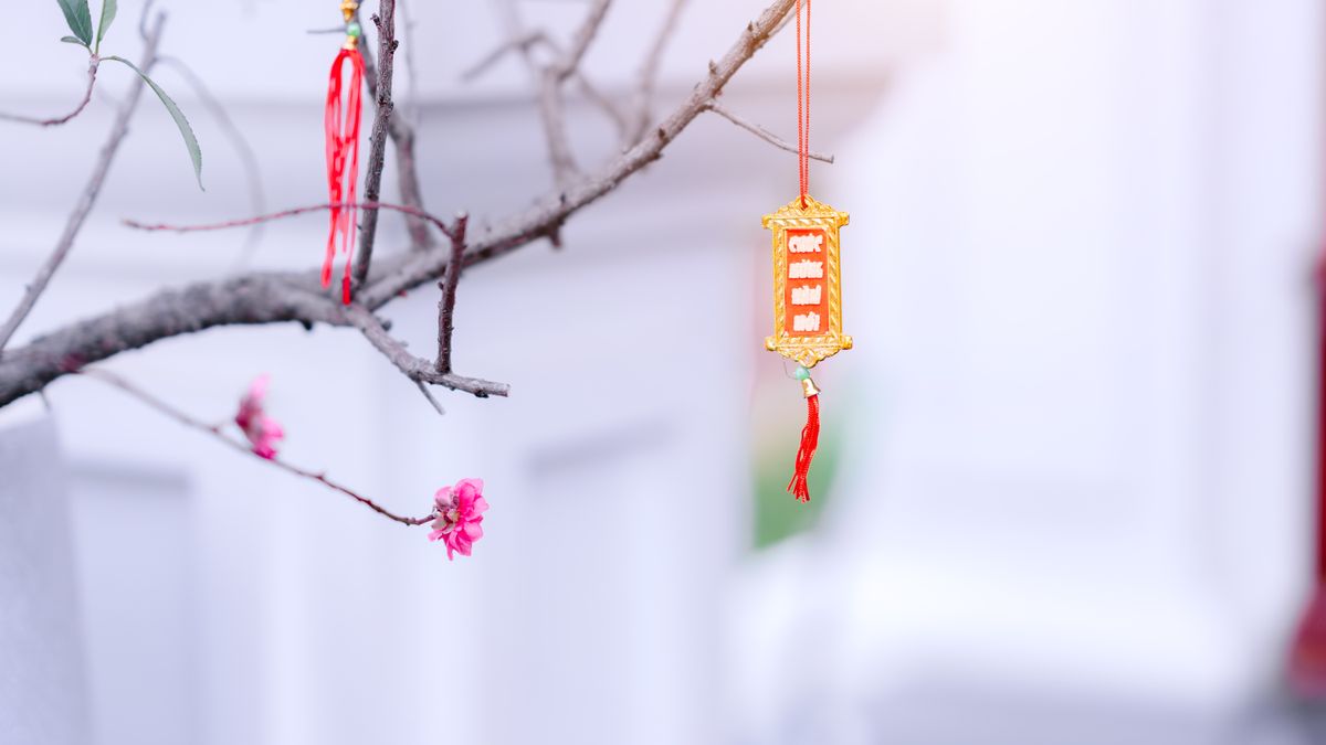 Hoa đào và đèn lồng – chọn ngày cưới hỏi